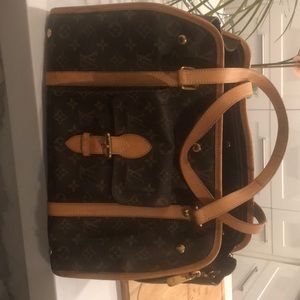Louie Vuitton dog bag